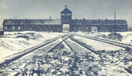 Auschwitz-Birkenau