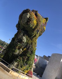 Koons's Puppy on the terrace