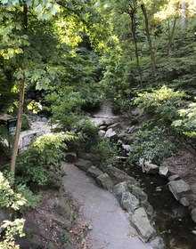 A path through the Ramble