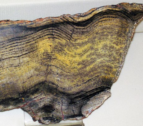 Dresser Formation, Pilbara, Western Australia