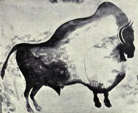 A bison from the cave wall