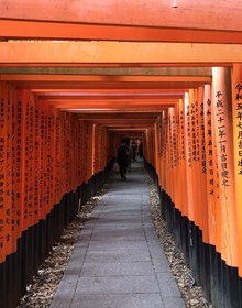 Inside the tunnel of vermilion torii