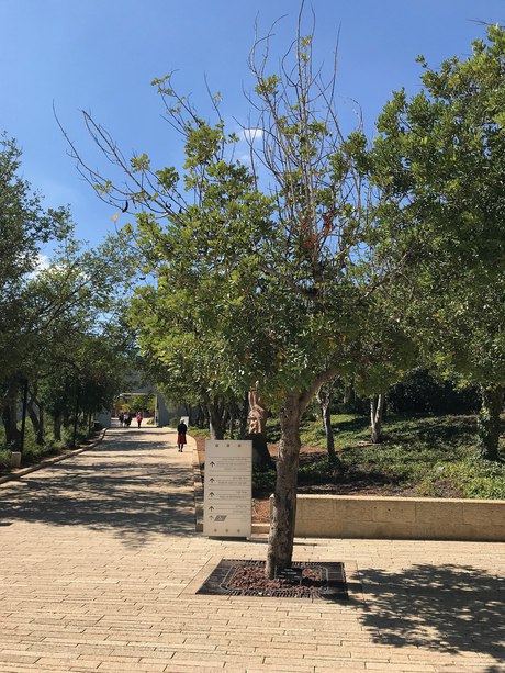 The Garden of the Righteous, Yad Vashem