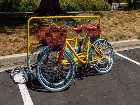 The campus bicycles