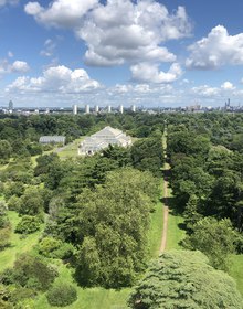 The arboretum and Temperate House from the treetop walkway, London beyond