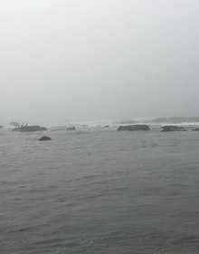 Fog over the reef, pelicans on the rocks