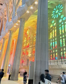 The nave, columns branching into the vault