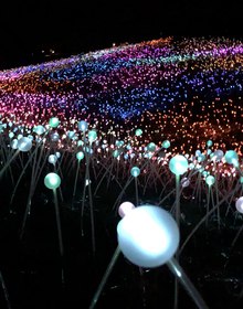 Glowing fibre-optic stems close up, the lit hillside behind