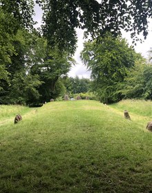 The long barrow in its ring of beeches