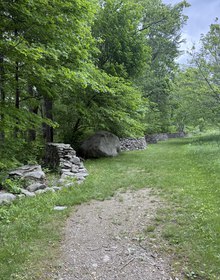 Goldsworthy's drystone wall running away through the trees