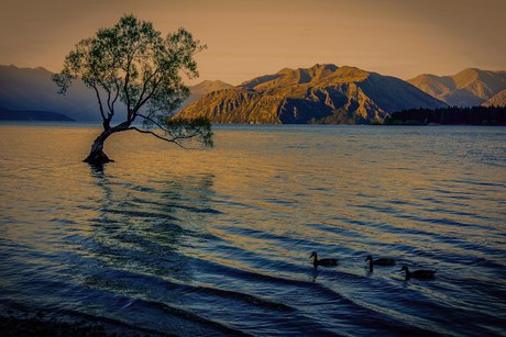 The lake and its mountains at evening