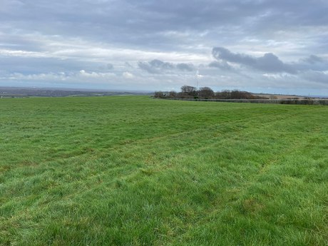 Watership Down, Hampshire