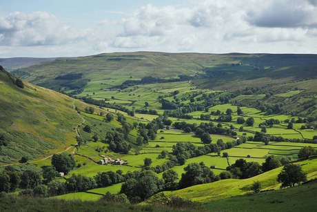 Swaledale from Kisdon Hill, walled fields under the moor