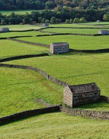 Walled meadows and a stone field barn at Gunnerside